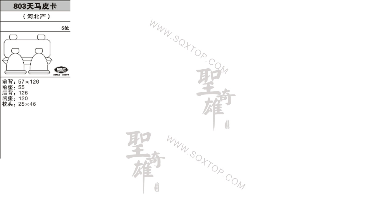 天馬皮卡5座公司內部下單編號803.jpeg
